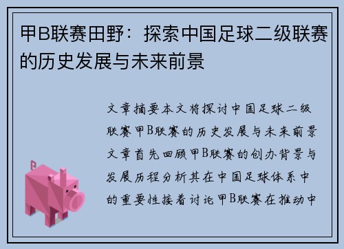 甲B联赛田野：探索中国足球二级联赛的历史发展与未来前景